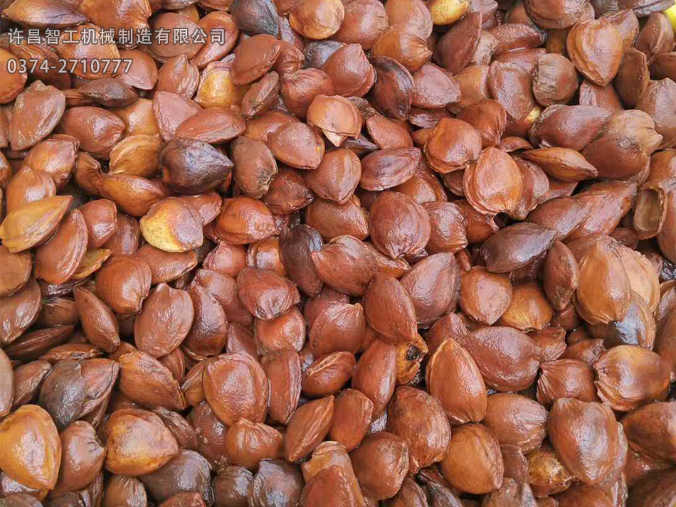 杏仁等待炒货机炒制