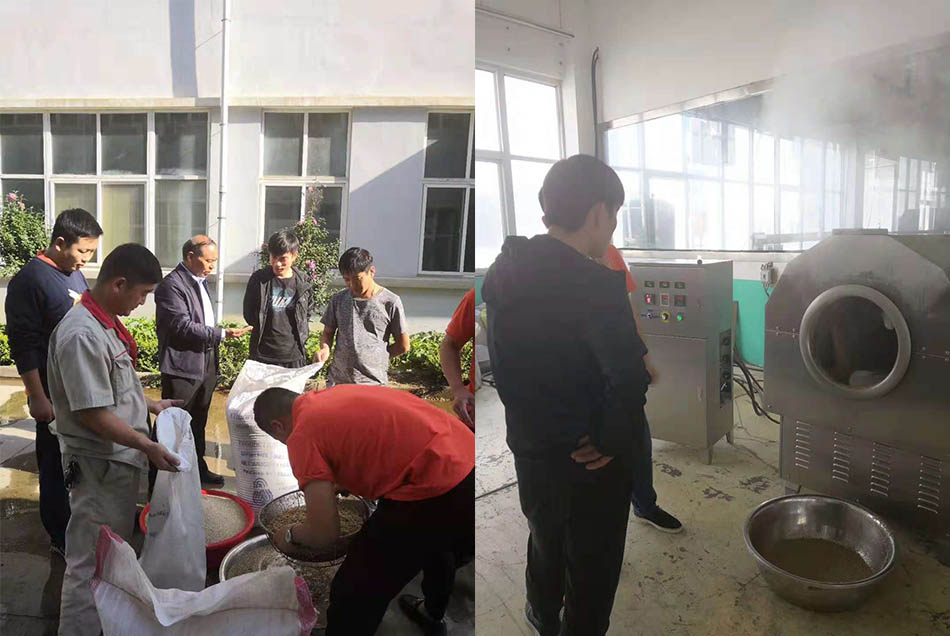 客户试用许昌智工炒芝麻机