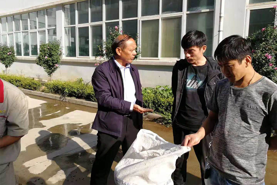 客户光临许昌智工考察炒芝麻机