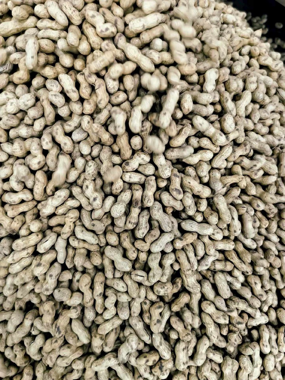 多功能电磁炒货机