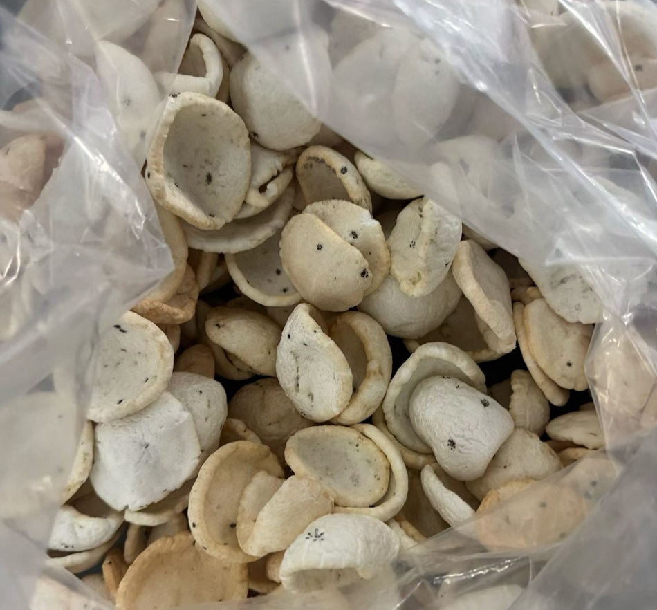 许昌智工炒货机